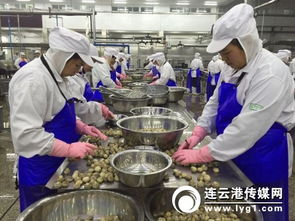 對接“一帶一路”戰略，打造新時代進出口食品安全大通道